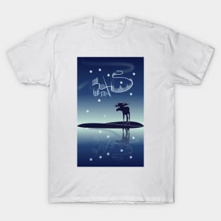 Water reflection Northern lights T-Shirt